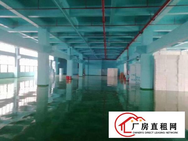  桥头新出800方一楼厂房出租，价格优