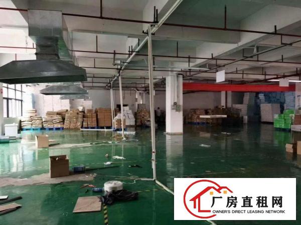  桥头新出800方一楼厂房出租，价格优
