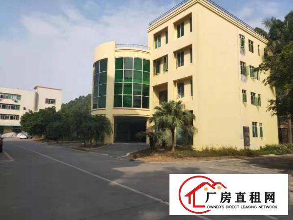 厚街宝屯新出标准独院厂房6800平可按需分租