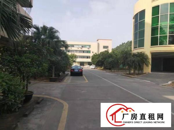  厚街宝屯新出标准独院厂房6800平可按需分租