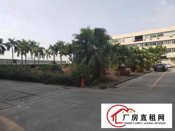  厚街宝屯新出标准独院厂房6800平可按需分租