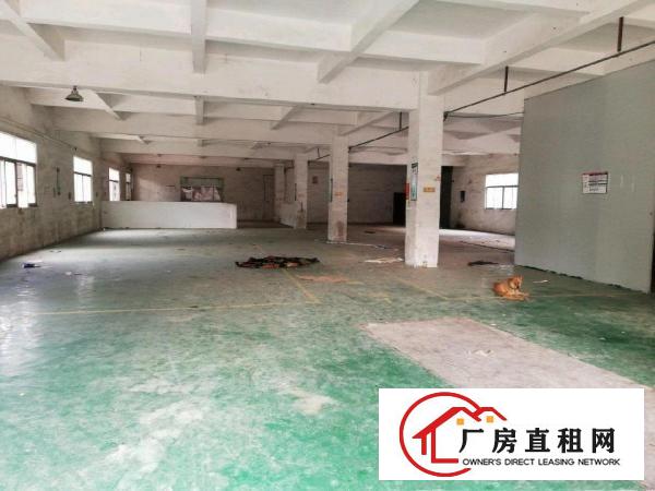  大岭山石大路旁边独院厂房仓库约8000㎡