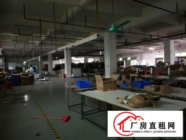  厚大路独门独院厂房2100平米