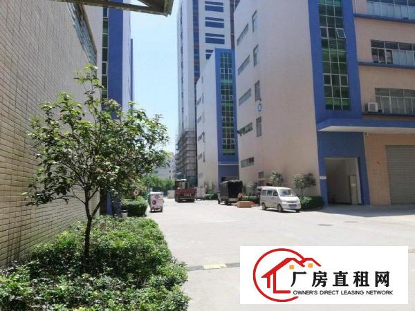  大岭山厚大路原房东厂房2000平米