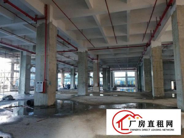 大岭山厚大路原房东厂房2000平米