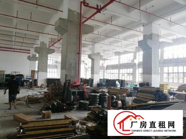  厚大路独院一楼厂房1800平米