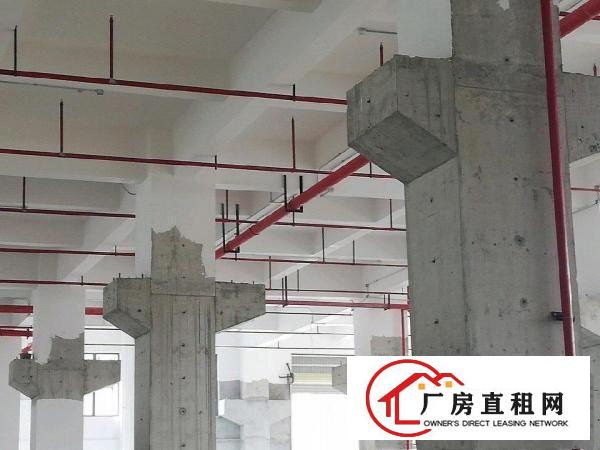  厚大路独院一楼厂房1800平米