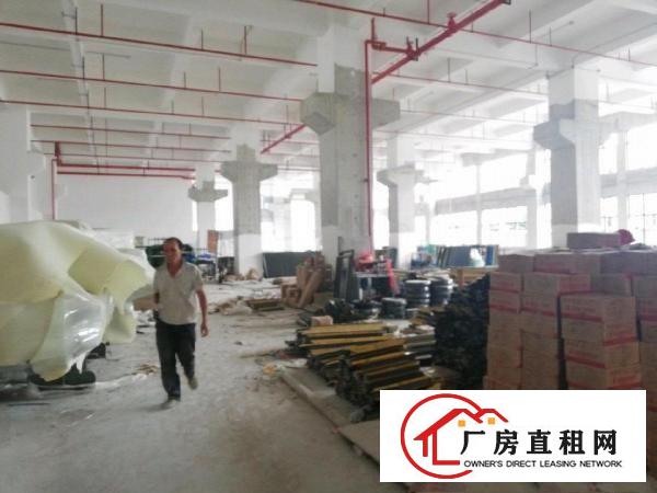 厚大路独院一楼厂房1800平米