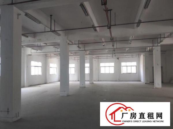  可办环评！仅剩3楼1150平方，消防喷淋！低价出租！！！