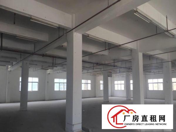  可办环评！仅剩3楼1150平方，消防喷淋！低价出租！！！