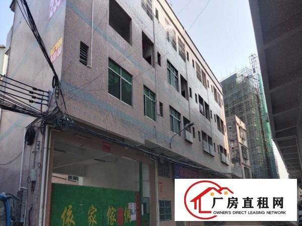  大岭山矮岭冚村107国道旁厂房1080平方，低至10元/平方