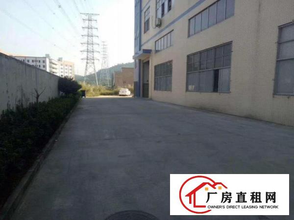  大岭山镇杨屋工业厂房，仅剩一楼850平方，低价出租！