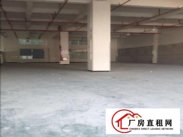  大岭山镇杨屋工业厂房，仅剩一楼850平方，低价出租！