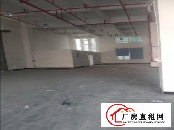  大岭山镇杨屋工业厂房，仅剩一楼850平方，低价出租！