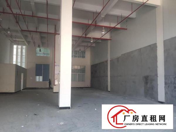  大岭山镇杨屋工业厂房，仅剩一楼850平方，低价出租！