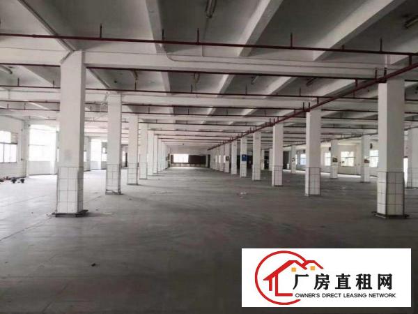  重工业厂房特价10天，9.9元出租！