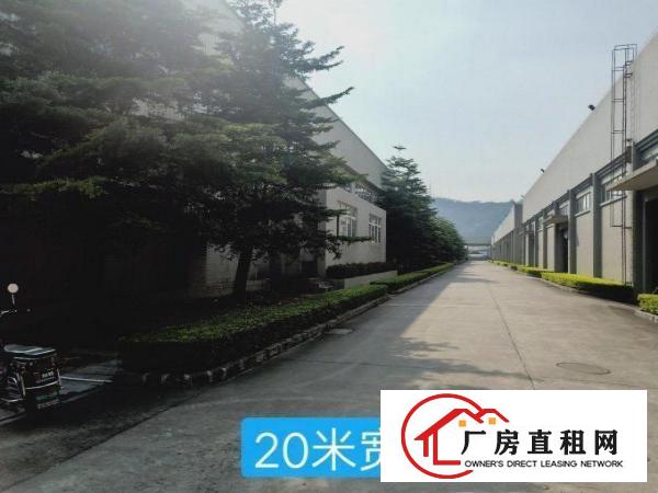  大岭山镇单一层钢构24000平出租，可分租
