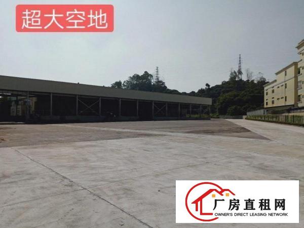  大岭山镇单一层钢构24000平出租，可分租