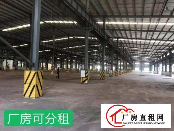  大岭山镇单一层钢构24000平出租，可分租