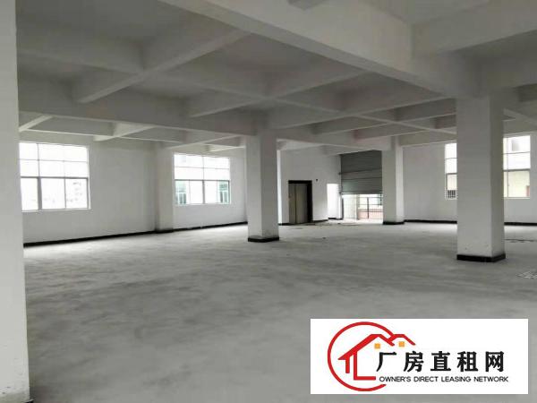  大岭山义乌商城新厂房768平