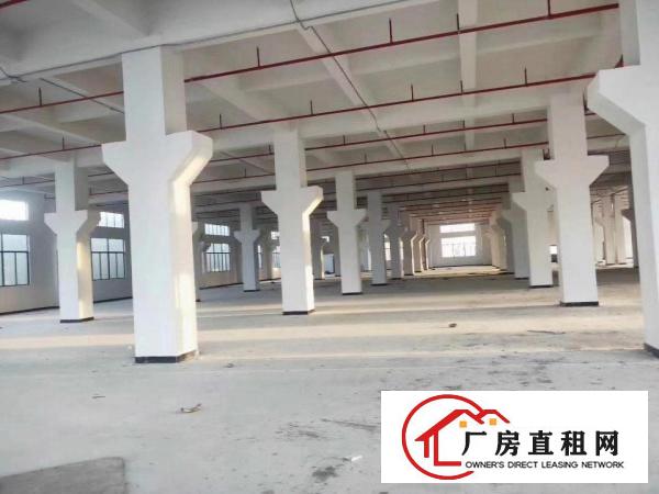  东江纵队附近厂1300平