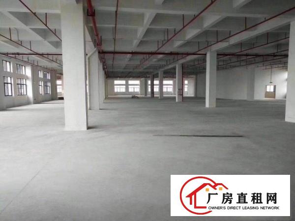  东江纵队附近厂1300平