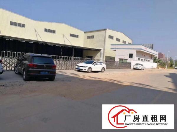  大岭山新出单一层3000平方,滴水9米可办环评,水电齐全