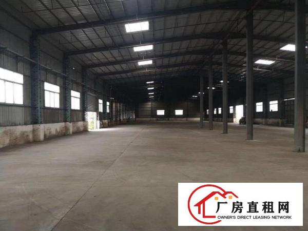  大岭山新出单一层3000平方,滴水9米可办环评,水电齐全