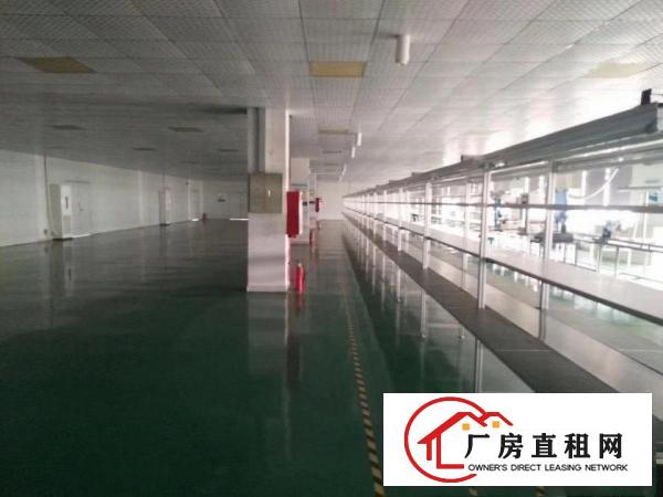  出租大岭山楼上现成装修2100平方,水电齐全,办公室装修