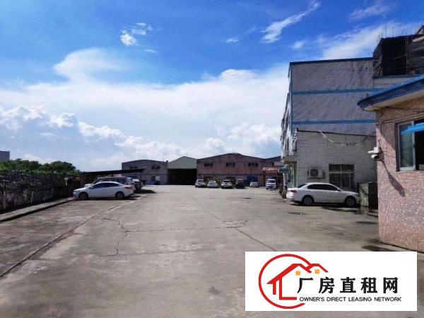  大岭山铁皮厂房出租无柱子