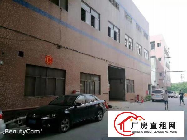  大岭山新出标准厂房出租