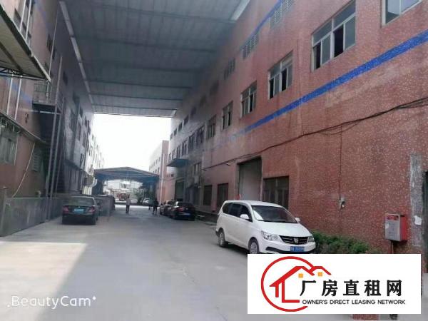  大岭山新出标准厂房出租