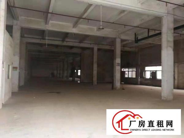  大岭山新出标准厂房出租