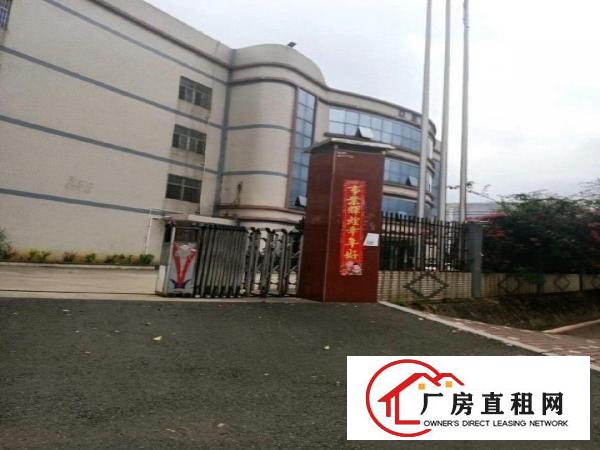  大岭山厚大路厂房出租