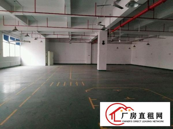  大岭山杨屋新出楼上带装修厂房850平米高速出入口附近！