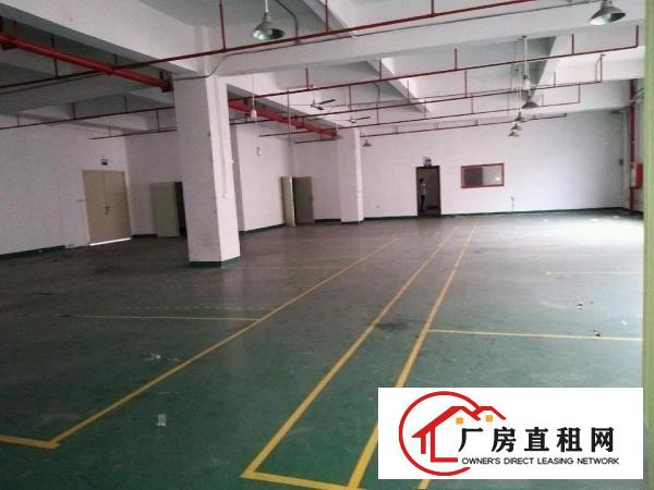  大岭山杨屋新出楼上带装修厂房850平米高速出入口附近！
