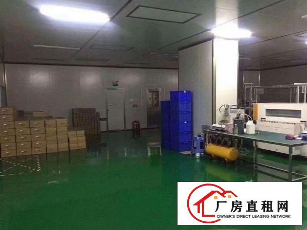  大岭山莞长路边新出无尘车间600平米，无转让费！