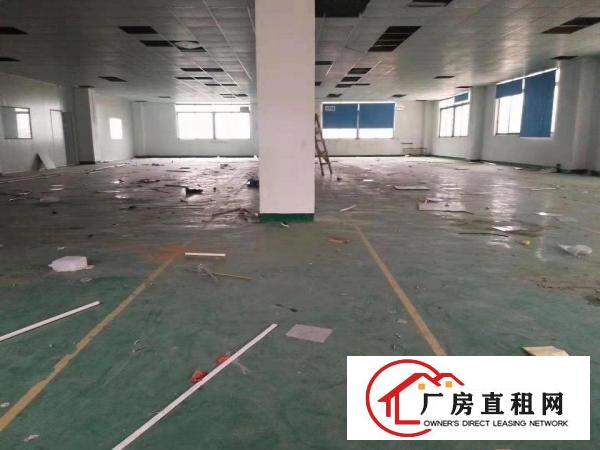  大岭山经典原房东小独院出租，一栋厂房，一栋宿舍