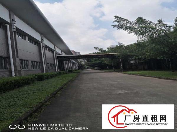  出租大岭山镇大岭山工业区