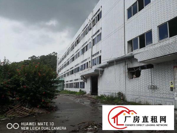  出租大岭山镇大岭山工业区