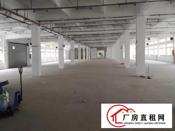  大岭山村委大型工业园3楼整层厂房4800平方带豪华装修出租