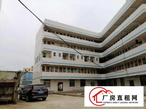  14元出租大岭山2800厂房，可办环评。