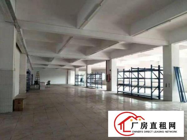  出租大岭山镇大片美工业区