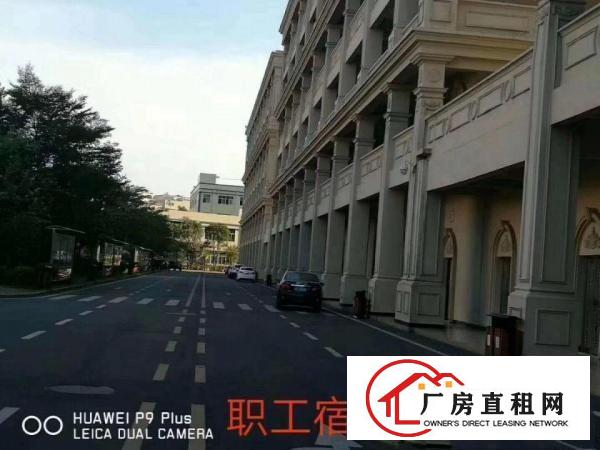  大岭山镇自有厂房高大上园区厂房一整层7966平方可办环评