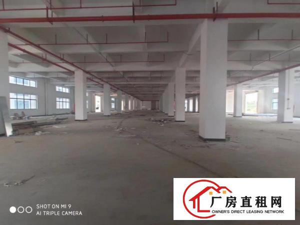  大岭山花园式靓盘带红本原房东自建