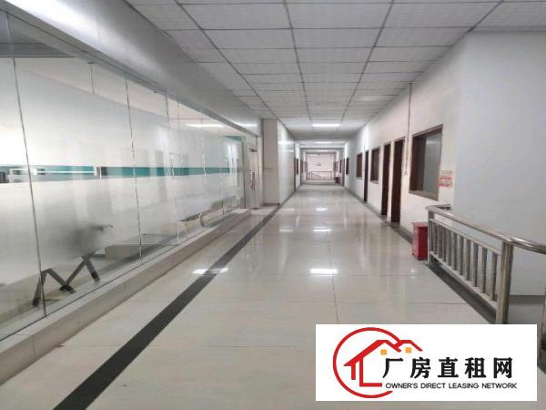  大岭山原房东精装修厂房并有无尘车间