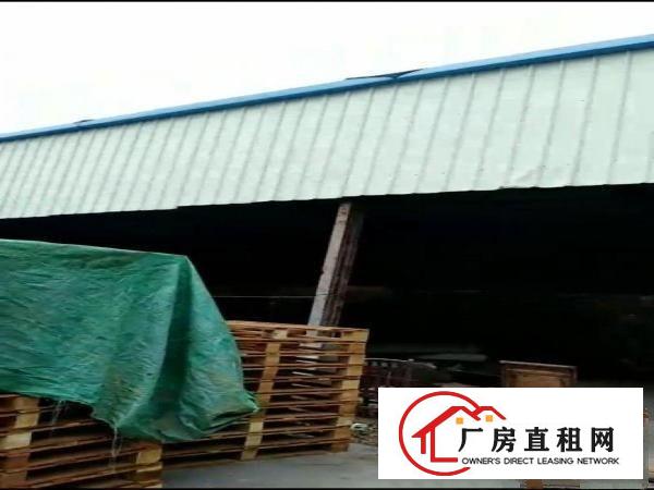  大岭山铁皮房，广阔空地，整体出租