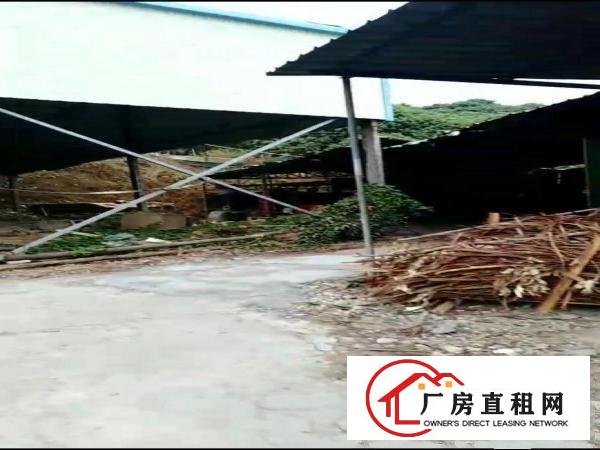  大岭山铁皮房，广阔空地，整体出租