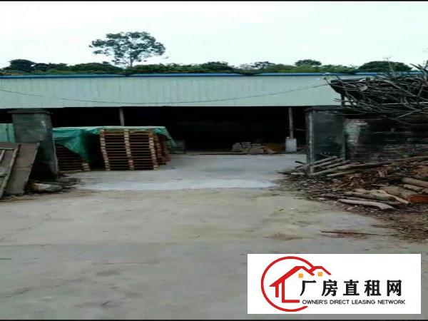  大岭山铁皮房，广阔空地，整体出租