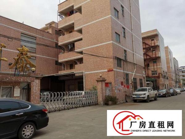  原房东独院厂房出租，性价比高